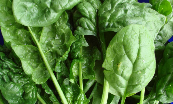 Врач назвала продукты, способствующие похудению