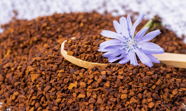 Какой вред может принести цикорий: правда, которую принято утаивать